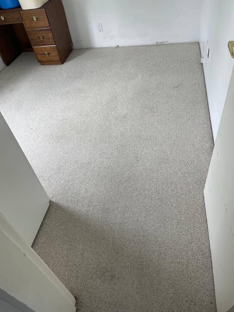 Carpet after professional cleaning — stains removed, restored color