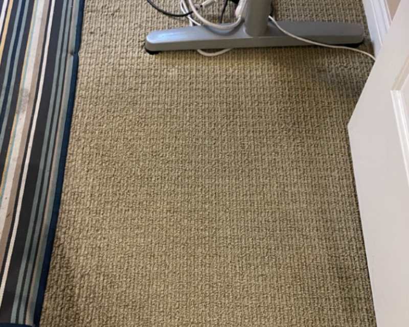 Carpet after cleaning — refreshed and brightened