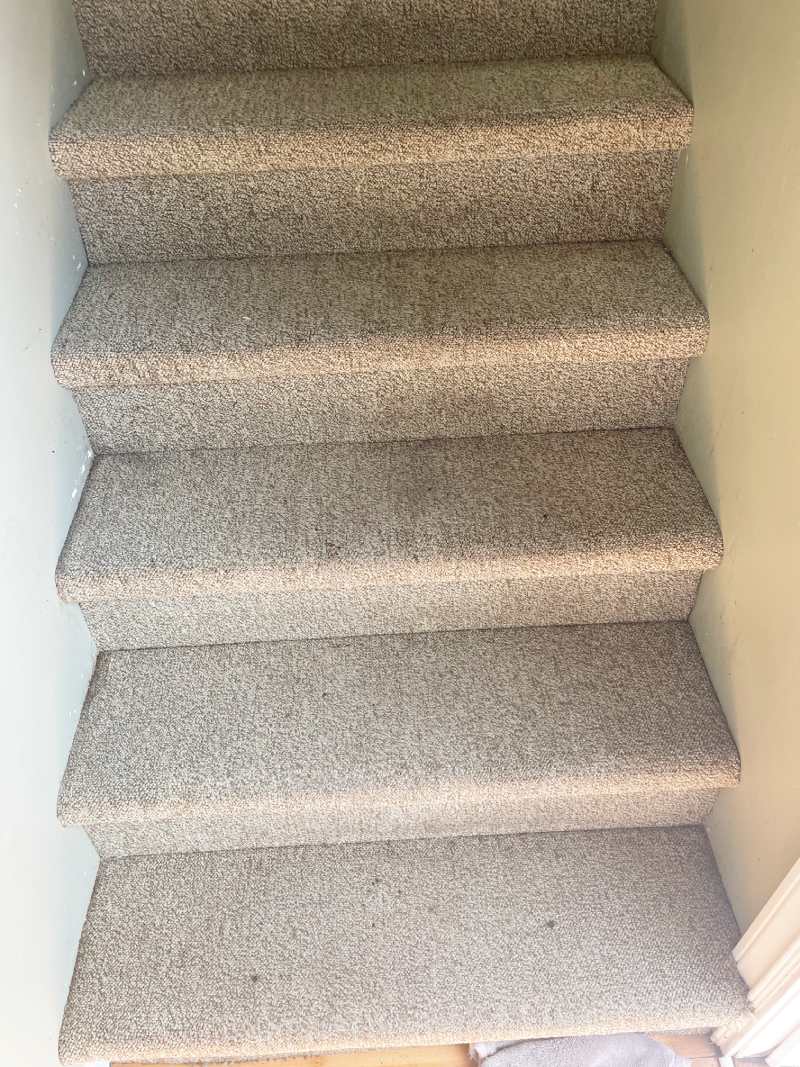 Staircase carpet after cleaning