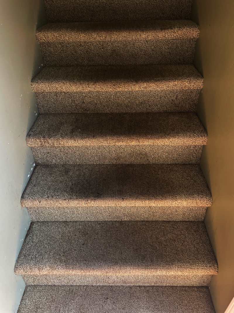 Staircase carpet before cleaning