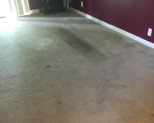 After Carpet Cleaning Services of Motel