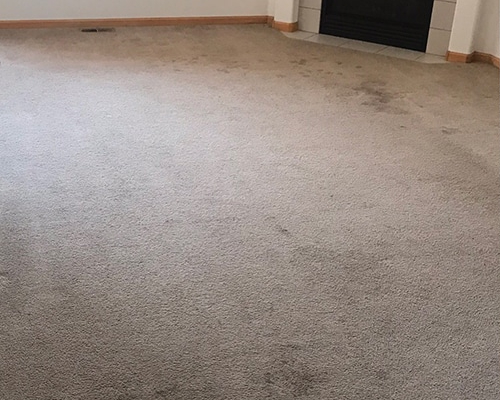 After Carpet Cleaner Work in House
