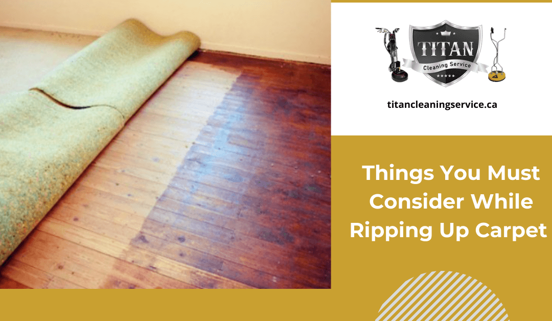 Things You Must Consider While Ripping Up Carpet