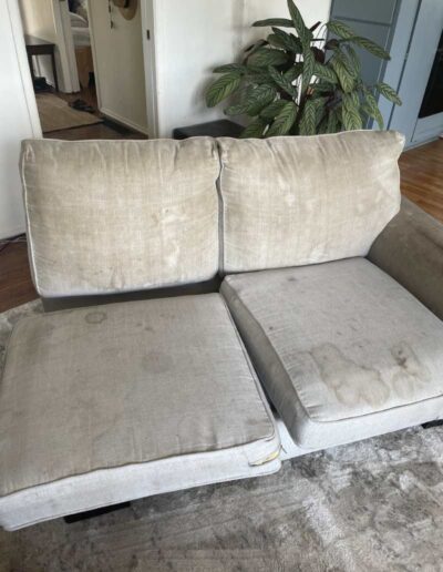 Before Upholstery Cleaning