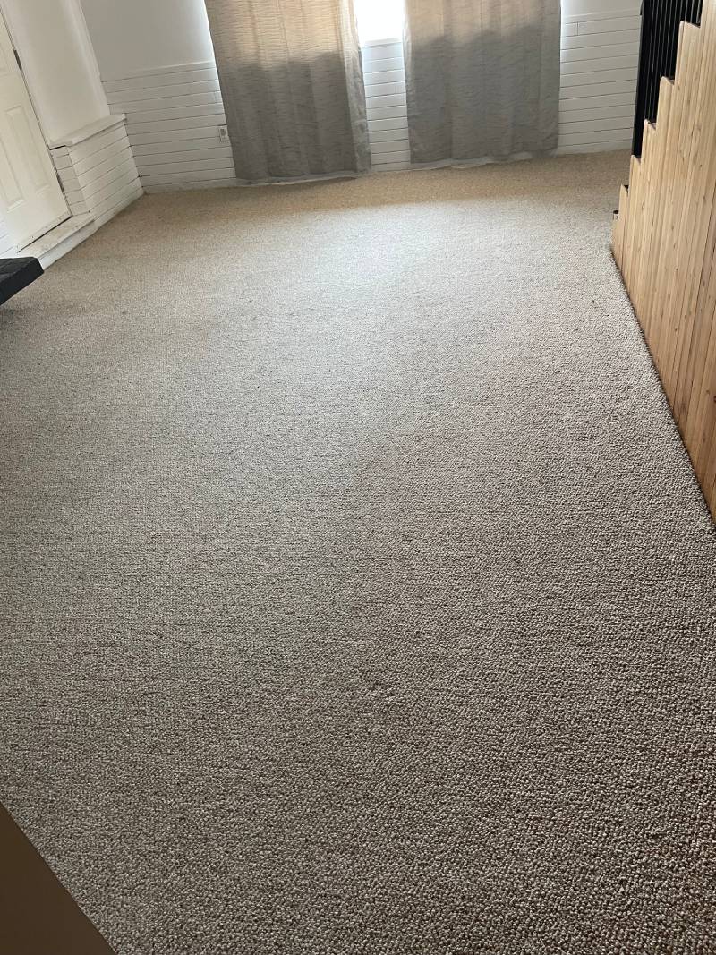 After Carpet Cleaner Work in House