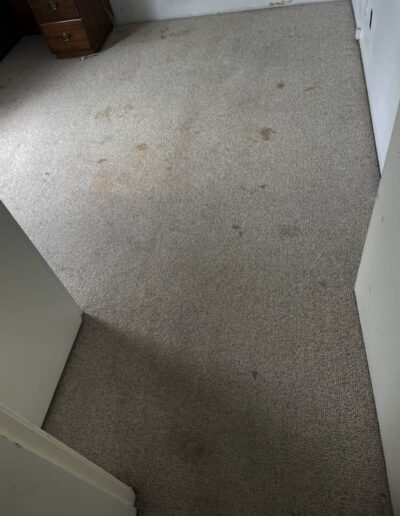 Carpet Cleaning Before