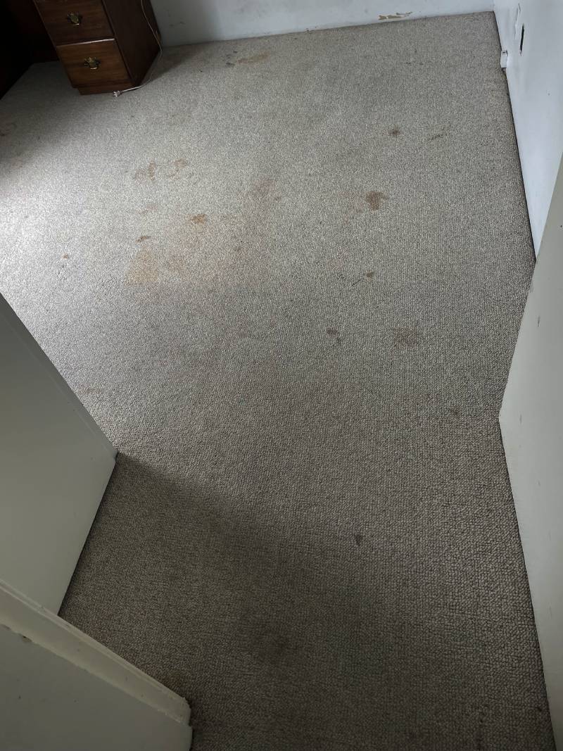 After Carpet Cleaning Services Staircase of A Villa