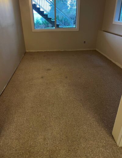 Carpet Cleaning Before