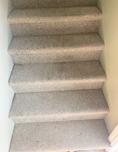 Stair Carpet Cleaning After