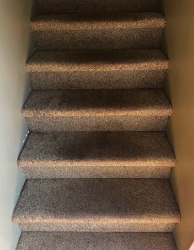 Stair Carpet Cleaning Before