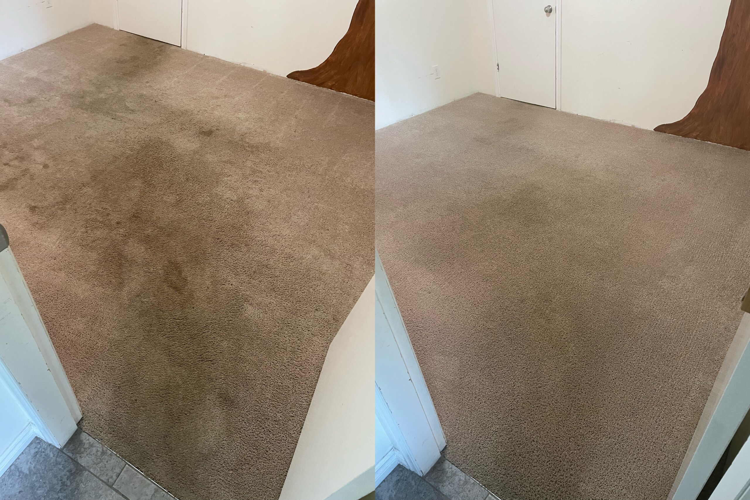 Effectiveness: Surface Clean vs. Deep Clean