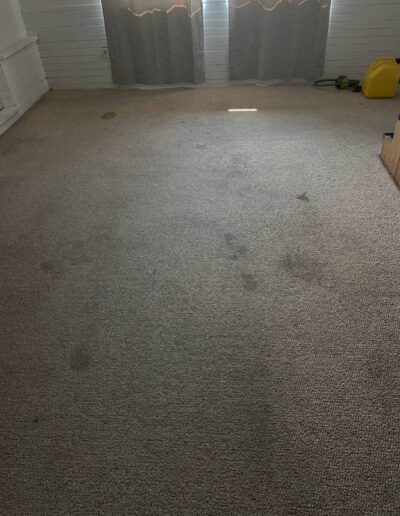 Carpet Cleaning Before